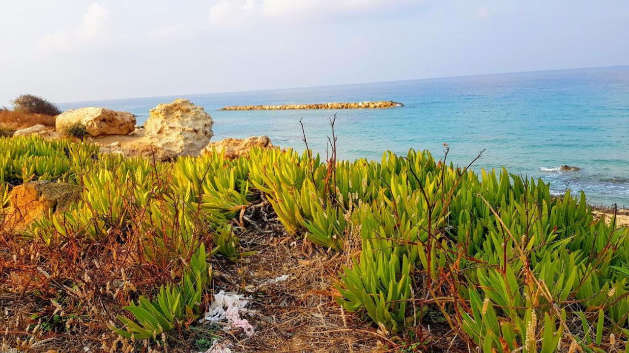 Dahan Sirena Lighthouse Luxury Apartment Paphos Buitenkant foto
